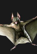 Umbrella Chronicles Inimigos - Bat