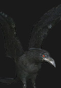 Umbrella Chronicles Inimigos - Crow