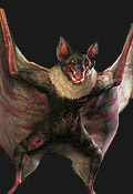 Umbrella Chronicles Inimigos - Giant Bat