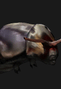 Resident Evil Outbreak Inimigos - Baby Moth