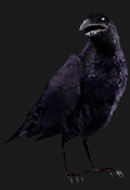 Resident Evil Outbreak Inimigos - Crow