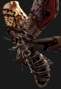 Resident Evil Outbreak Inimigos - Giant Moth