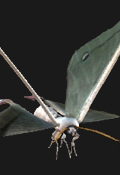 Darkside Chronicles Inimigos - Moth