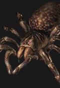 Resident Evil Outbreak Inimigos - Giant Spider