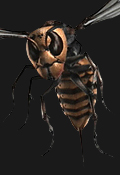 Resident Evil Outbreak Inimigos - Giant Wasp