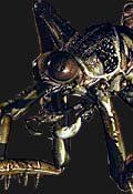 Resident Evil 0 Inimigos - Plague Crawler