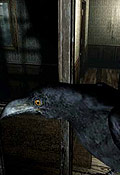 Resident Evil Remake Inimigos - Crow