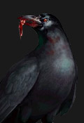 Resident Evil 2 Inimigos - Crow