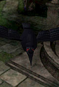 Resident Evil 3 Inimigos - Crow