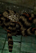 Resident Evil 3 Inimigos - Giant Spider